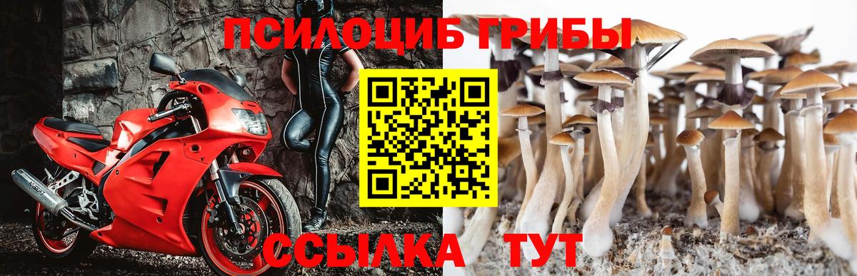 Надым  Галлюциногенные грибы мицелий  Вход с VPN 