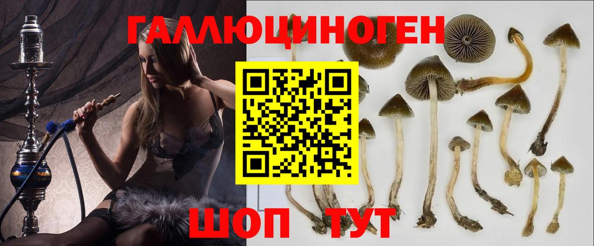 Псилоцибиновые грибы мухоморы Надым